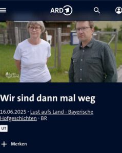 fernsehbild